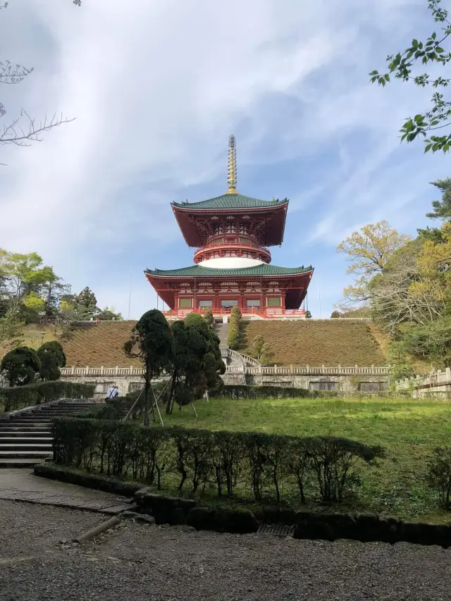 Japan Trip | Travel Guide to Narita Temple