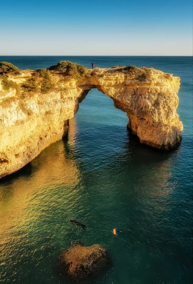 "Cape Cod is also known as Codfish Point"??!