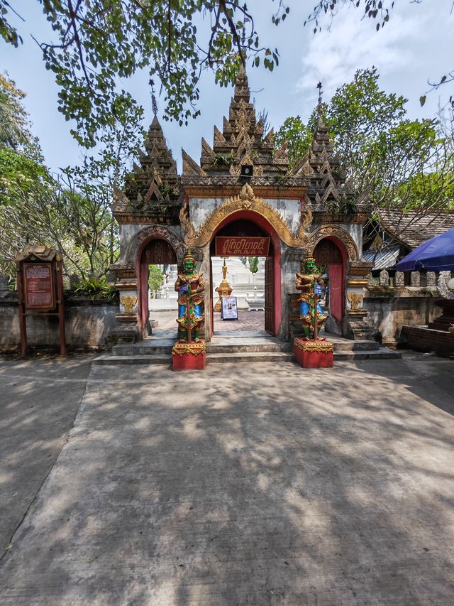 Read a legendary story of the rainforest, the ancient, mysterious and passionate Xishuangbanna.