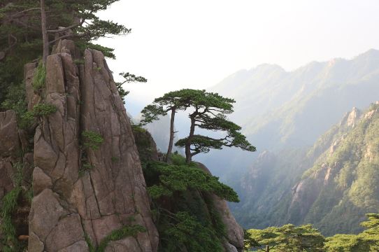 陽江附近的旅遊攻略：熱門精選好去處、天氣、交通、熱門景點及全面指南，為您提供一切所需的資訊（於2025年更新）｜Trip.com