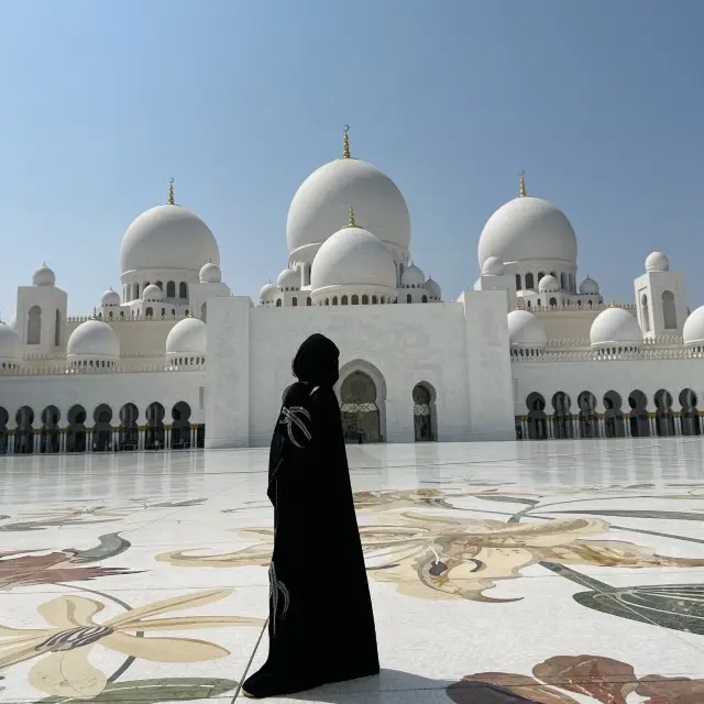 Top Destinations in Abu Dhabi 