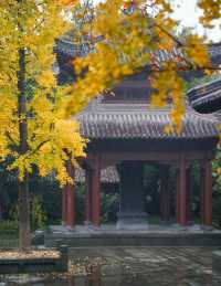 深秋的杭州有多美!來這九個地方賞秋啦
