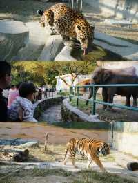 親子好去處溫州景山動物園爬山看動物