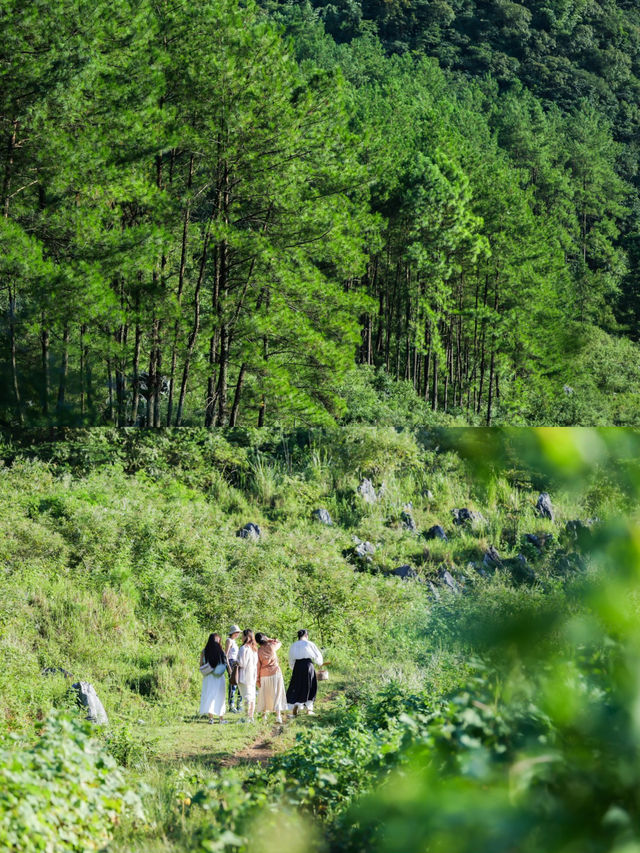 在廣東最美喀斯特村落| 做兩日山裡閒人