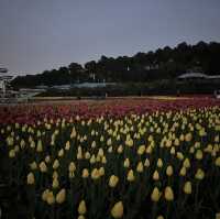 Changsha City Center and Botanical Garden