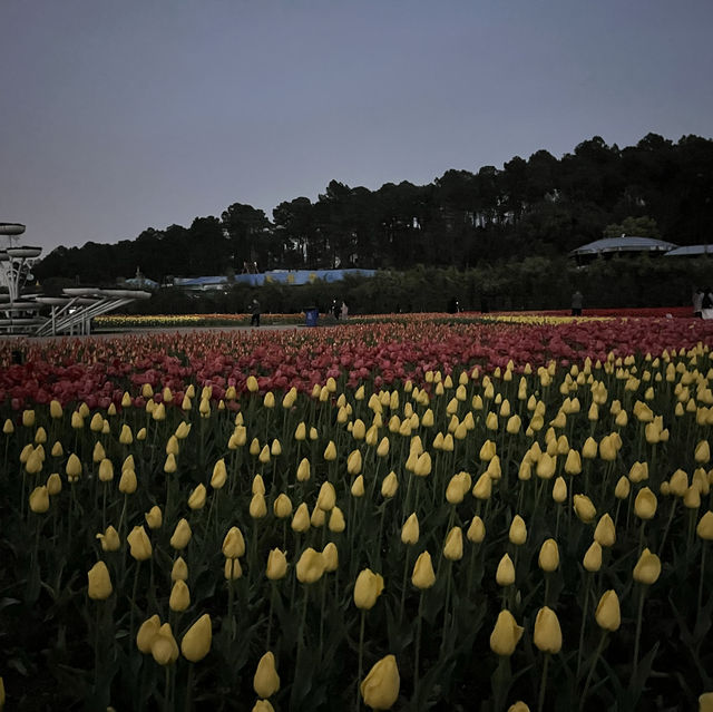 Changsha City Center and Botanical Garden