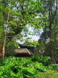 古桂新竹,贛州公園大有來歷