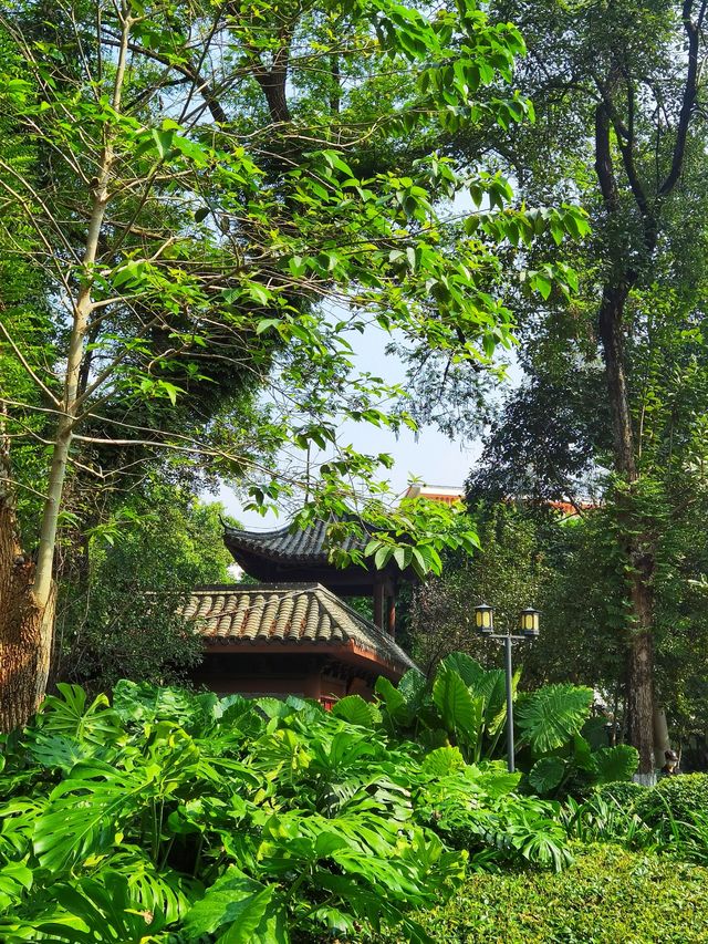 古桂新竹,贛州公園大有來歷 古桂新竹,贛州公園大有來歷