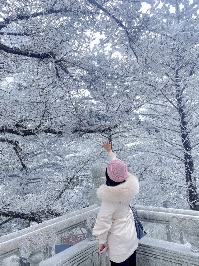 這個冬天總要去一次峨眉山看雪景吧