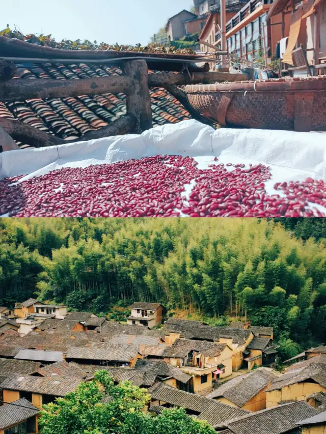 The last secret place in the south of the Yangtze River| Songzhuang Village (with Songyang ancient village tour guide)