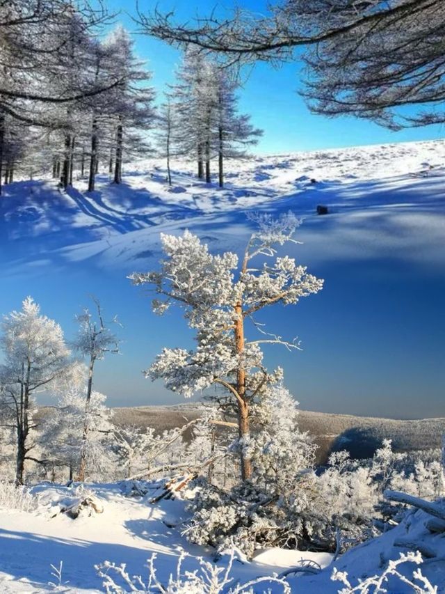 走進北方的香格里拉 | 山西的雪鄉蘆芽山