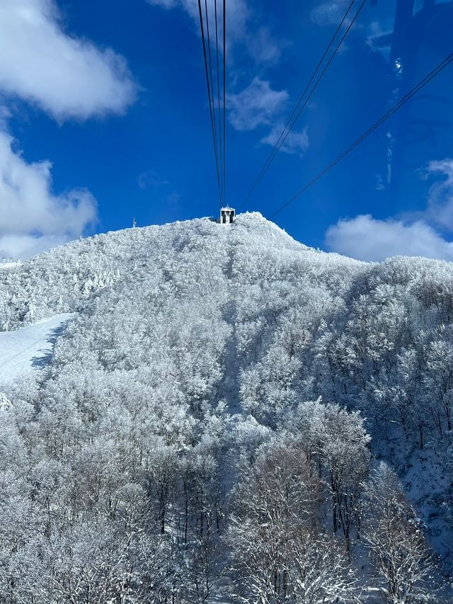 秘境藏王山：探尋複雜路線中的絕美之旅！
