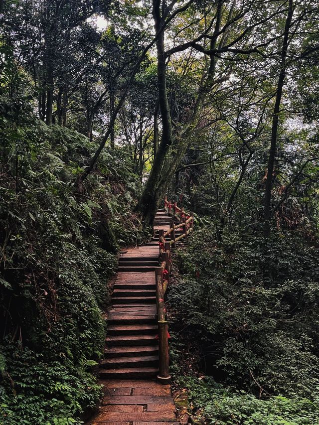 老峨山||大話西遊同款取景地