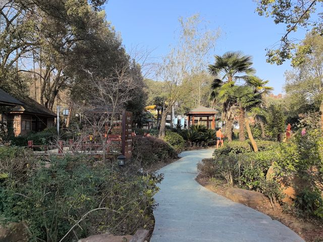 武漢周邊泡湯，應城湯池溫泉，百餘個池子，還有溫泉海浪太贊了！