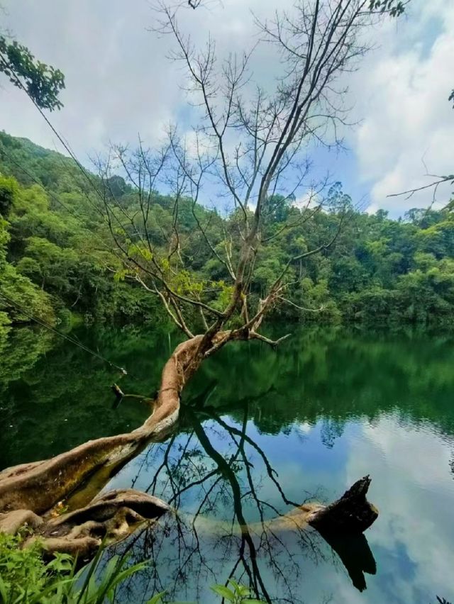 蒙自| 藏在山裡的“綠寶石”!如此美景怎能忍住不來!