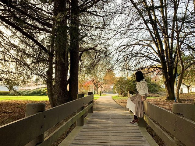 明納努公園：抓住最後的花瓣，享受週末的涼爽