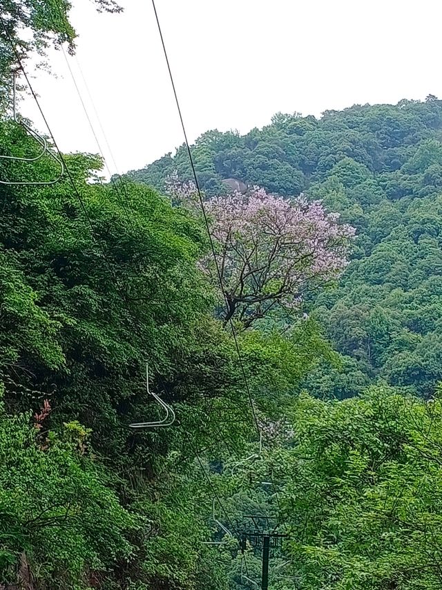 九華天池旅遊景區丨天河掛綠水 秀出九芙蓉