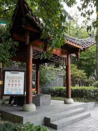 成都旅遊這條街道也太浪漫了吧