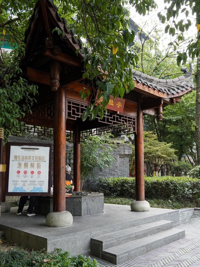 成都旅遊這條街道也太浪漫了吧