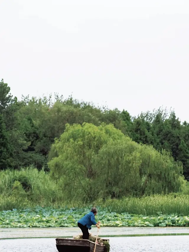 在泰州坐著搖櫓船搖啊搖～