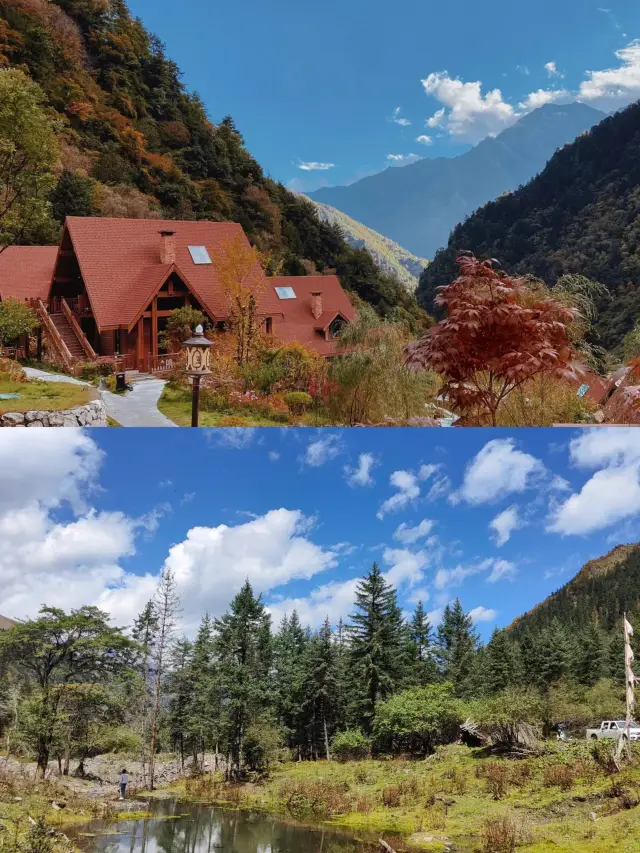 Tour around Chengdu, the stunning red leaves in Miyaluo