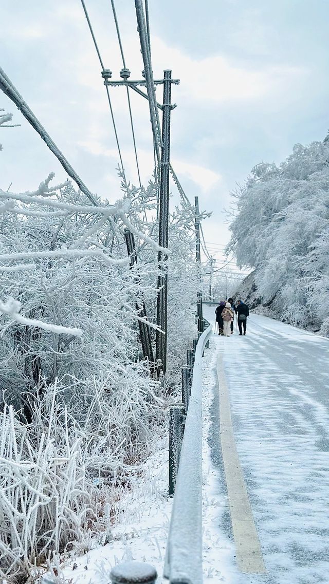 杭州“川西”——浙西天池 內附保姆級攻略｜