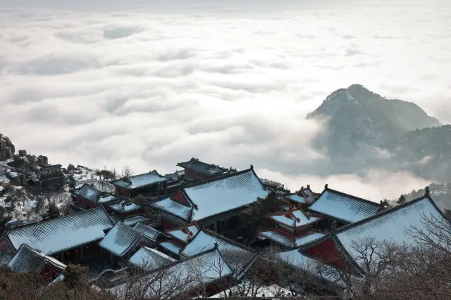 冬日泰山盛宴，美景等你來解鎖！