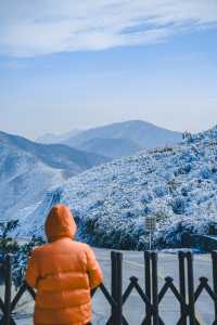 廣州周邊看雪聖地，雲端賞冰雪霧凇奇觀