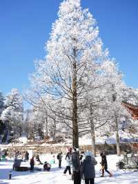 剛從廬山回來！三天兩夜追雪攻略