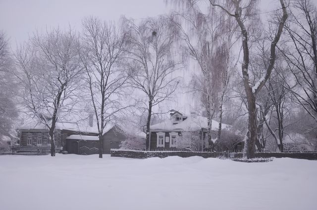 俄羅斯|冬季帶來的的絕色美景