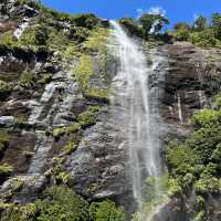 A Taste of the Enchanting Fiordland!