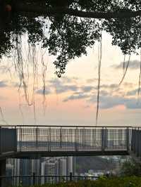 週末去鐵仔山公園，看絕美海上日落