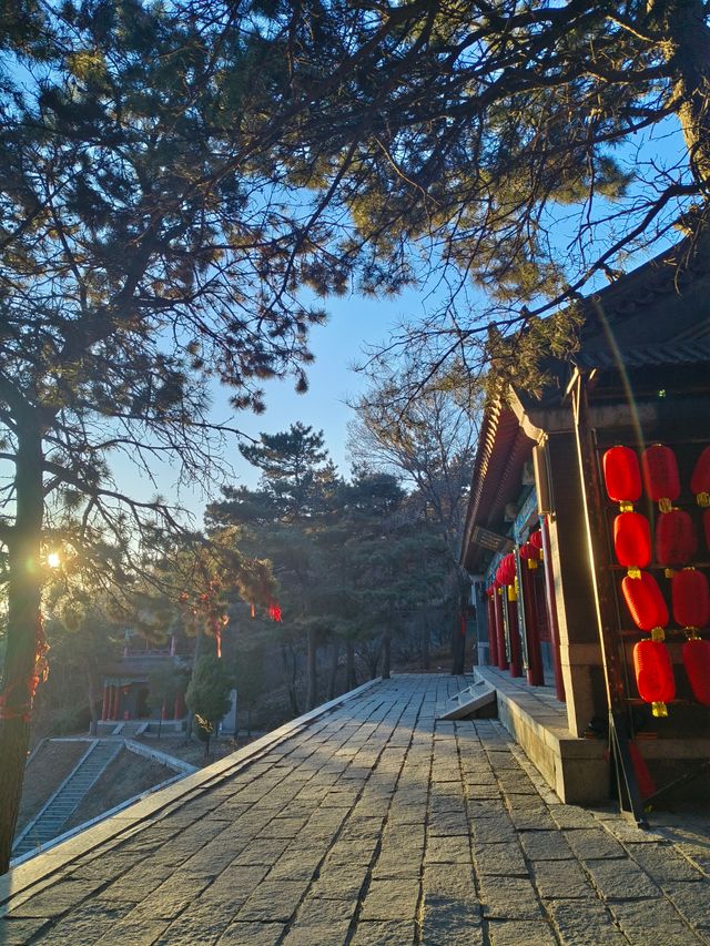 不是雍和宮去不起，而是向陽寺更有性價比！附攻略