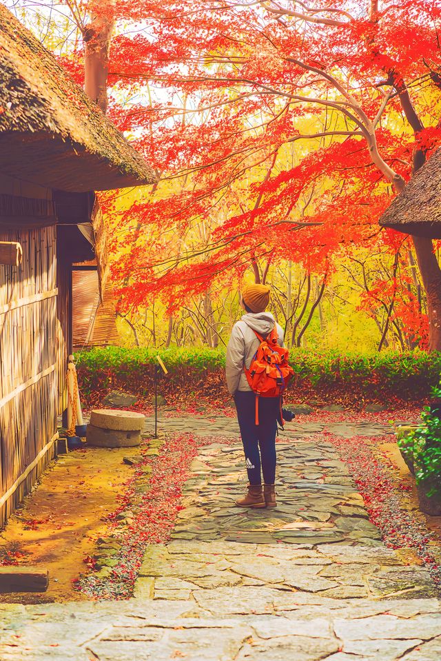 高松旅行四國村