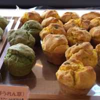 『佐賀縣小城市的寧靜之旅』