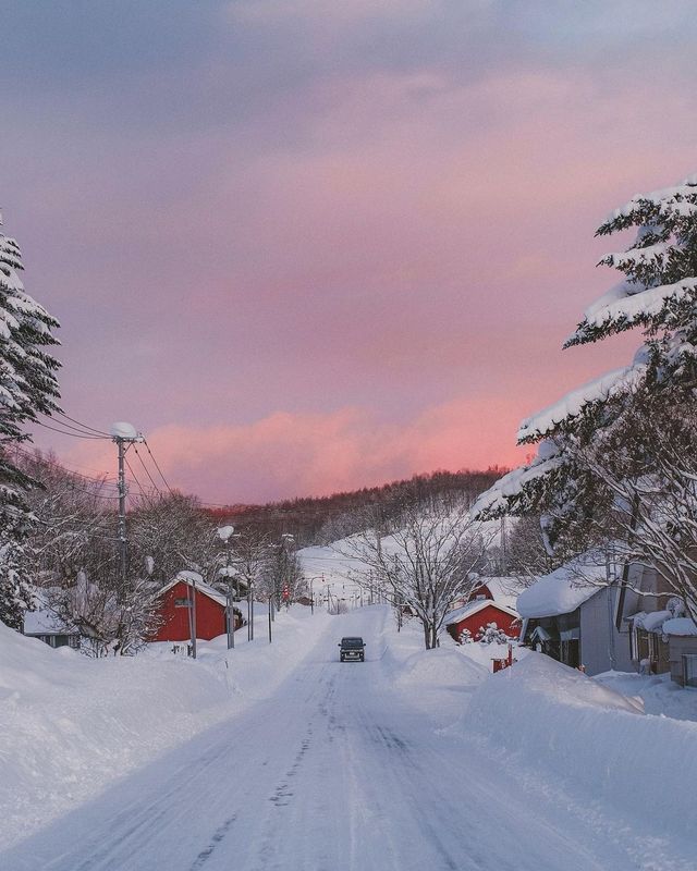 그래요. 올해는 홋카이도 어디로 떠나볼까요❄️