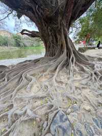 雲水謠土樓的坑終究還是踩到了