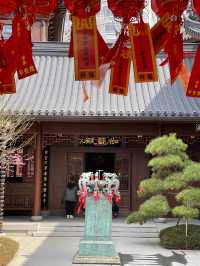 我在玉佛寺求offer打工人的一場周末修行