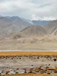 新疆白沙湖｜一半湖水一半沙漠