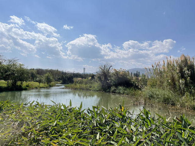 開遠濕地公園——養老休閒的絕佳去處之一