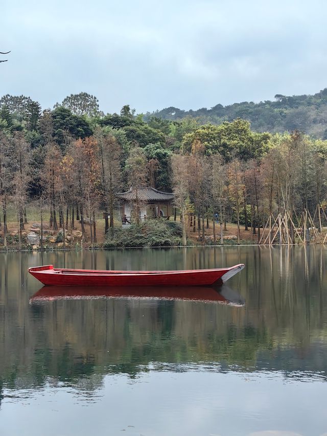 天寒地凍擋不住鮮花怒放