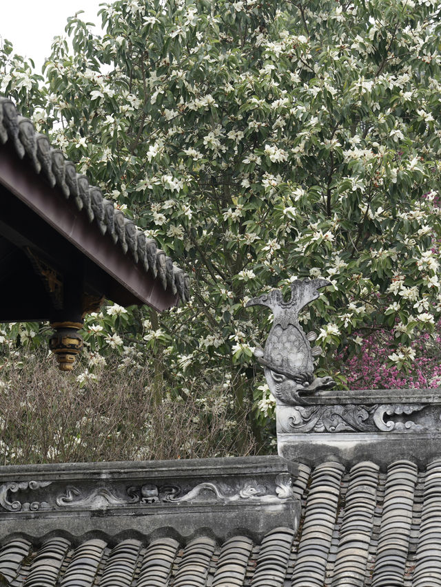 成都溫江陳家大院