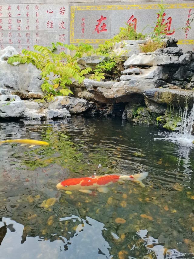 健康步道雲海線：廈門天竺岩寺至世紀和平園林