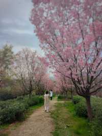 十思園—溧陽花海