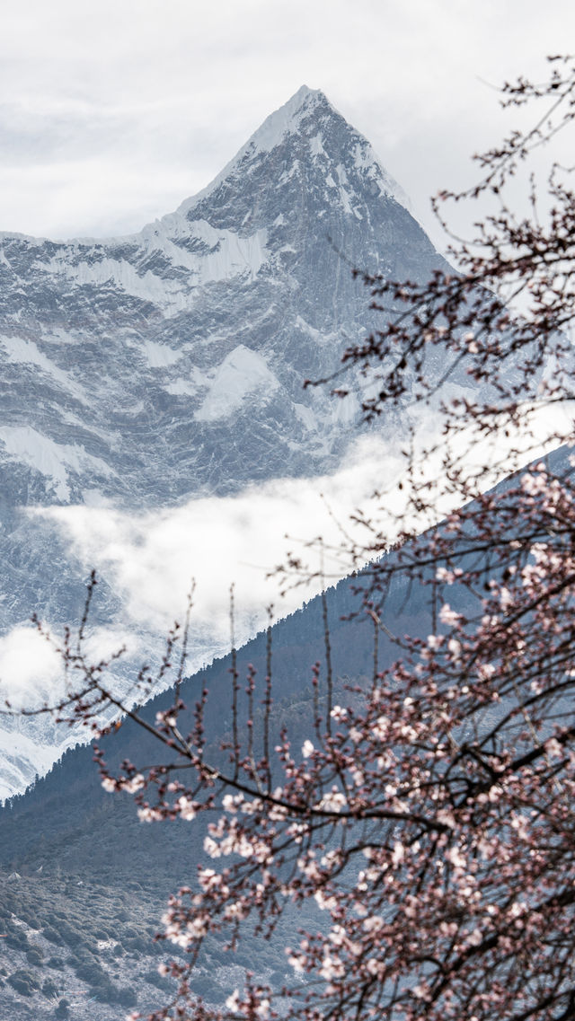 索松村旅拍｜桃花沒開於是去了佛掌沙丘