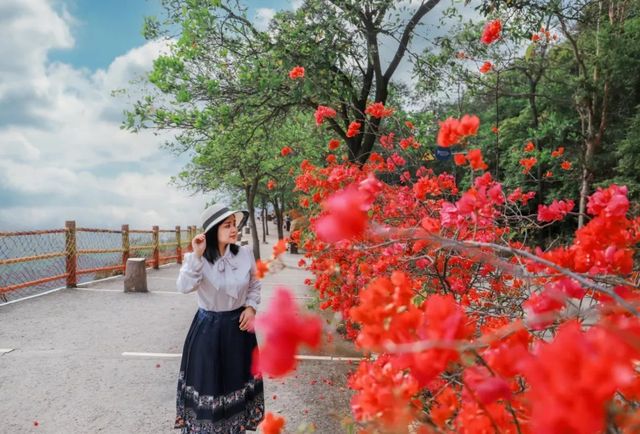 觀音山上踏青賞花許願行，福氣滿滿，好運一整年~