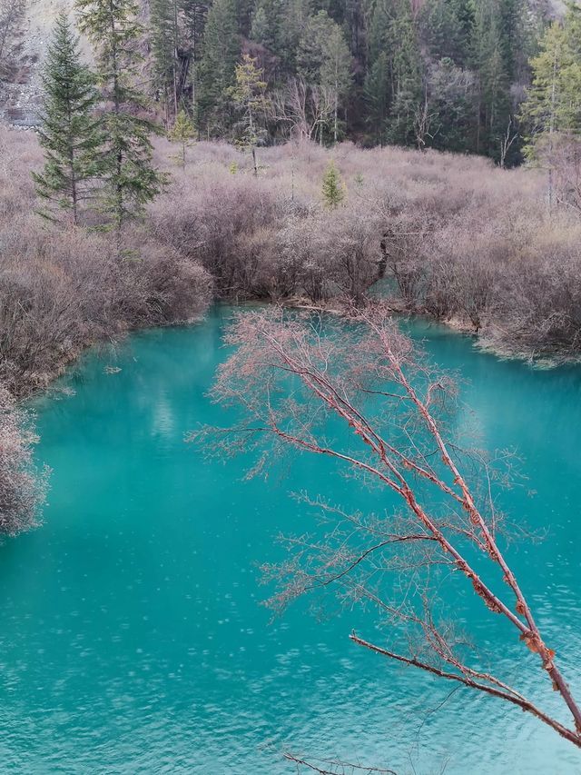 心動這是什麼人間仙境啊，九寨溝迎來最美的時候！