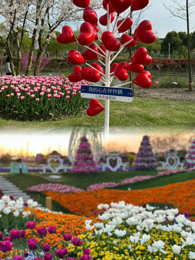 上海周邊遛娃｜奇蹟花園打卡好地方！