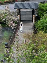 成都周邊，遊千年禪寺，賞萬畝茶園