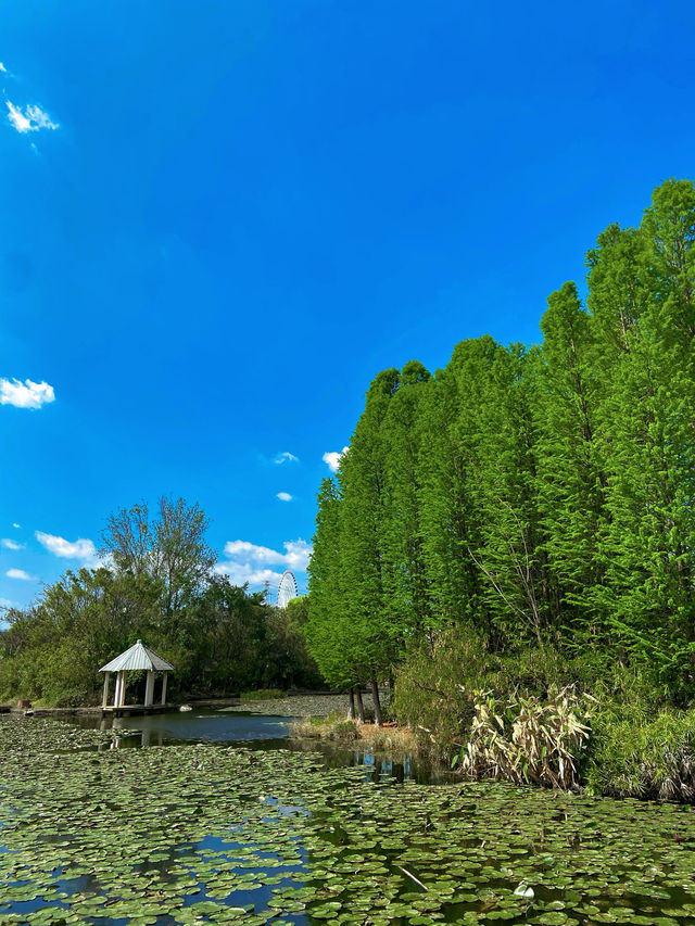 玉溪·匯溪公園